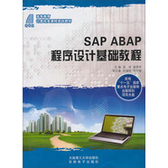 SAP ABAP 程序設(shè)計(jì)基礎(chǔ)教程/高等教育計(jì)算機(jī)類課程規(guī)劃教材