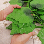 八千城仿真綠植藤條葡萄葉水管道裝飾塑料假花葡萄藤蔓物葉子吊頂裝飾 20葉特大號葡萄葉（12條裝）
