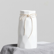 涼笙 創(chuàng  )意家居花瓶花藝客廳電視柜仿真花小清新馬卡龍假花水培花瓶干花假花裝飾品擺件 白色花瓶(小號)