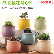 仟尚億多肉花盆陶瓷個(gè)性簡(jiǎn)約室內植物創(chuàng  )意粗陶花盆栽花盆透氣大口徑組合 寬口馬卡龍6個(gè) 中等