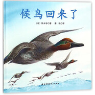 候鳥回來(lái)了(精)