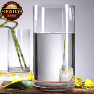 豪斯特麗（HOSTLY）直筒透明玻璃花瓶 特大號(hào)客廳擺件 富貴竹玫瑰百合插花平光花瓶 直徑12高40
