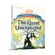 擺渡船當代世界兒童文學(xué)金獎書(shū)系：奇妙的意外