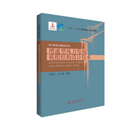 增速型風(fēng)力發(fā)電機(jī)組結(jié)構(gòu)設(shè)計(jì)技術(shù)（風(fēng)力發(fā)電工程技術(shù)叢書）