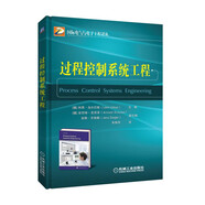 過程控制系統(tǒng)工程