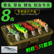萬(wàn)能路亞餌蝗蟲蟈蟈蟋蟀昆蟲主攻淡水湖泊江河素食魚家魚青魚草魚鯉魚鰱魚胖頭鳙魚蚱蜢 大號(hào) 五只套裝配盒