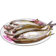 小白條魚 刁子魚 新鮮刁子魚 餐子魚 小花餐  小草魚 小河雜魚 新鮮小魚 1.5kg