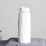 涼笙 創(chuàng  )意家居花瓶花藝客廳電視柜仿真花小清新馬卡龍假花水培花瓶干花假花裝飾品擺件 白色花瓶(大號)