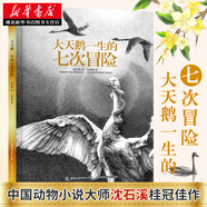 大天鵝一生的七次冒險(xiǎn) 中國動(dòng)物小說大師沈石溪桂冠佳作 挖掘天鵝勇敢冒險(xiǎn)的一面 中小學(xué)生課外閱讀書籍