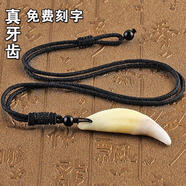 顧靜飛本命年原色黑狗牙項鏈藏獒牙狼牙吊墜男女護身符時(shí)尚飾品掛件 超大號4.5-4.6cm黑繩