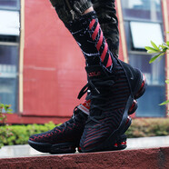耐克（NIKE）男鞋 Lebron 16 詹姆斯16代 黑白緩震耐磨實(shí)戰(zhàn)籃球鞋AO2595-006 AO2595-002 紅蜘蛛 41