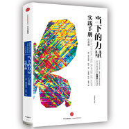 當(dāng)下的力量實(shí)踐手冊（白金版） 中信出版社