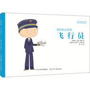 我的職業(yè)夢想 飛行員