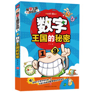 數(shù)學(xué)王國(guó)游樂園-數(shù)字王國(guó)的秘密（在有趣的故事中設(shè)置數(shù)學(xué)知識(shí)，一二三四五六年級(jí)課外書籍）