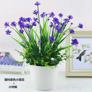 伊芙美 仿真花蘭花套裝假花擺件塑料花含塑料花瓶干花花束仿真植物盆景客廳陽臺(tái)餐桌裝飾花盆栽 塑料紫色小蓮花+小仿瓶