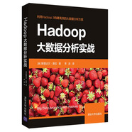 Hadoop大數(shù)據(jù)分析實戰(zhàn)