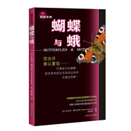 探索發(fā)現(xiàn)：蝴蝶與蛾