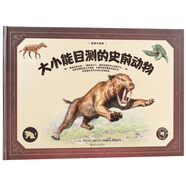 動(dòng)物大百科·大小能目測(cè)的史前動(dòng)物