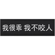 聚創(chuàng)麒 寵物K9牽引繩胸背帶魔術(shù)貼字帖 狗狗個(gè)性裝飾字帖文字貼標(biāo) 我很乖我不咬人 小號(hào)(適用XS/S/M號(hào))