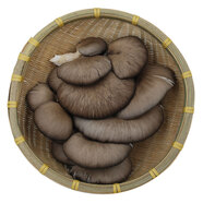 京鮮生河北平菇 450g 簡裝 新鮮蔬菜
