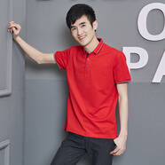 工作服T恤定制印logo短袖商務(wù)polo衫男翻領(lǐng)同學(xué)聚會服定做印字文化衫廣告衫企業(yè)團(tuán)隊服刺繡 大紅/男 S