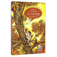 王子的奇境/王子的冒險系列