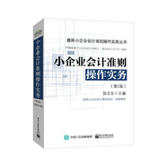 小企業(yè)會計準(zhǔn)則操作實務(wù)（第2版）