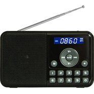 熊貓（PANDA） DS-172迷你音響插卡小音箱便攜FM收音機老人袖珍播放器播放機老年人聽(tīng)歌唱戲機 黑色