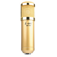 ami BM-900 振膜電容麥克風(fēng) 電腦網(wǎng)絡(luò)K歌錄音YY主持話筒 金色