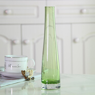愛(ài)澤寶現代田園風(fēng)格時(shí)尚細口玻璃花瓶小花插彩色透明客廳簡(jiǎn)約餐桌擺件 透明綠花瓶