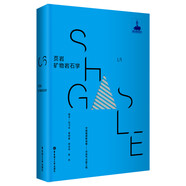 頁巖礦物巖石學(xué)