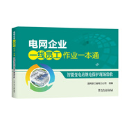 電網(wǎng)企業(yè)一線員工作業(yè)一本通  智能變電站繼電保護(hù)現(xiàn)場(chǎng)驗(yàn)收