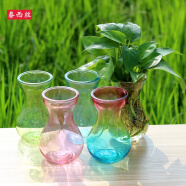 泰西丝园艺用品玻璃花瓶 风信子玻璃水培瓶 绿萝风信子专用玻璃瓶加厚型 五彩 中等