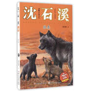 動物小說大王沈石溪：狼妻（注音讀本）
