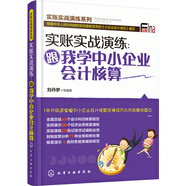 實(shí)賬實(shí)戰(zhàn)演練：跟我學(xué)中小企業(yè)會(huì)計(jì)核算