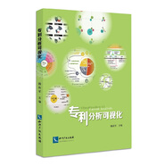 專(zhuān)利分析可視化
