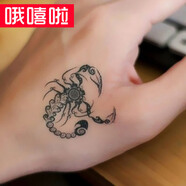 哦嘻啦蝎子個性紋身貼時尚潮流蝎子圖騰防水紋身貼紙 男女款虎口手腕逼真防水刺青貼紙男女通用款仿真貼紙