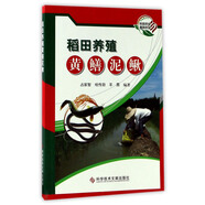 稻田養(yǎng)殖黃鱔泥鰍