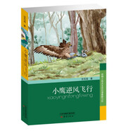小鷹逆風(fēng)飛行