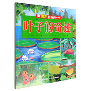 探索植物的一生：葉子的奇跡