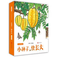小種子，快長(cháng)大（水果篇）  精選益智游戲叢書(shū) 3-6歲（啟發(fā)出品）