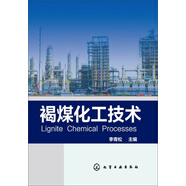 褐煤化工技術(shù)
