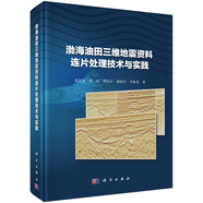 渤海油田三維地震資料連片處理技術(shù)與實踐