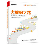 大數(shù)據(jù)之路 阿里巴巴大數(shù)據(jù)實踐(博文視點出品)
