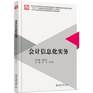 會計信息化實務(wù)