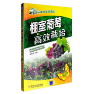 棚室葡萄高效栽培