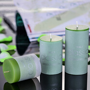 香薰蠟燭浪漫香薰燈香氛蠟燭香熏去燭臺室內燭光晚餐表白蠟燭家用 綠色蘋(píng)果味 5*7.5cm一根(燃燒約15-17個(gè)小時(shí))