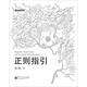 正則指引(博文視點(diǎn)出品)