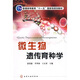 微生物遺傳育種學(xué)/普通高等教育“十一五”國家級規劃教材