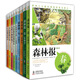 常春藤智慧果樹(shù)系列（套裝全9冊）